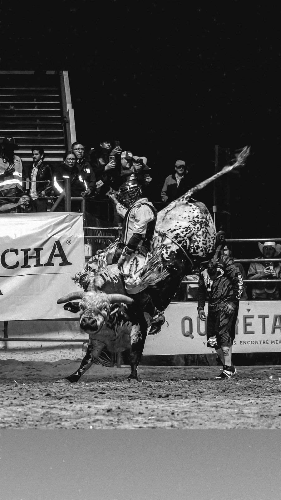 Gran Rodeo - Arena Revolution